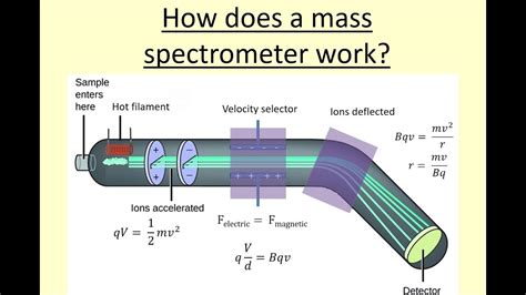 How does a mass spectrometer work - Jan 23, 2024 · Mass spectrometry (MS) is an analytical technique developed over 100 years ago that is used to determine molecular mass. In addition, it can also provide information regarding molecular structure and allows for quantitation as well [1]. This technique can be used to study macromolecules, identify microorganisms, analyze complex mixtures, find ... 